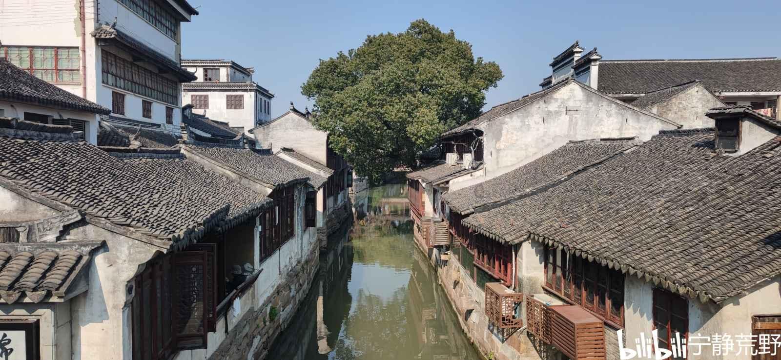 校园文化建设——浅析学生各阶段培养重点